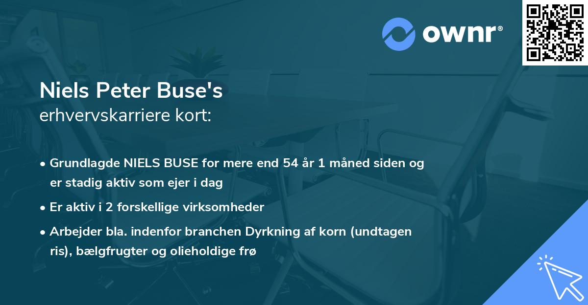Niels Peter Buse's erhvervskarriere kort