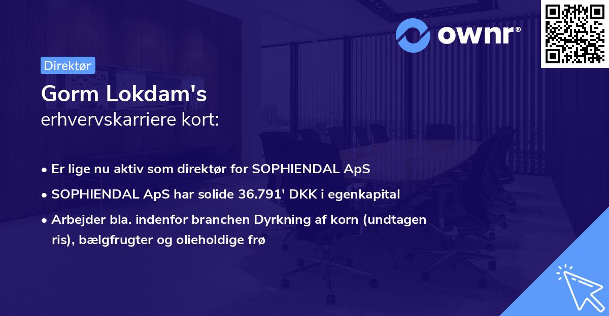 Gorm Lokdam's erhvervskarriere kort