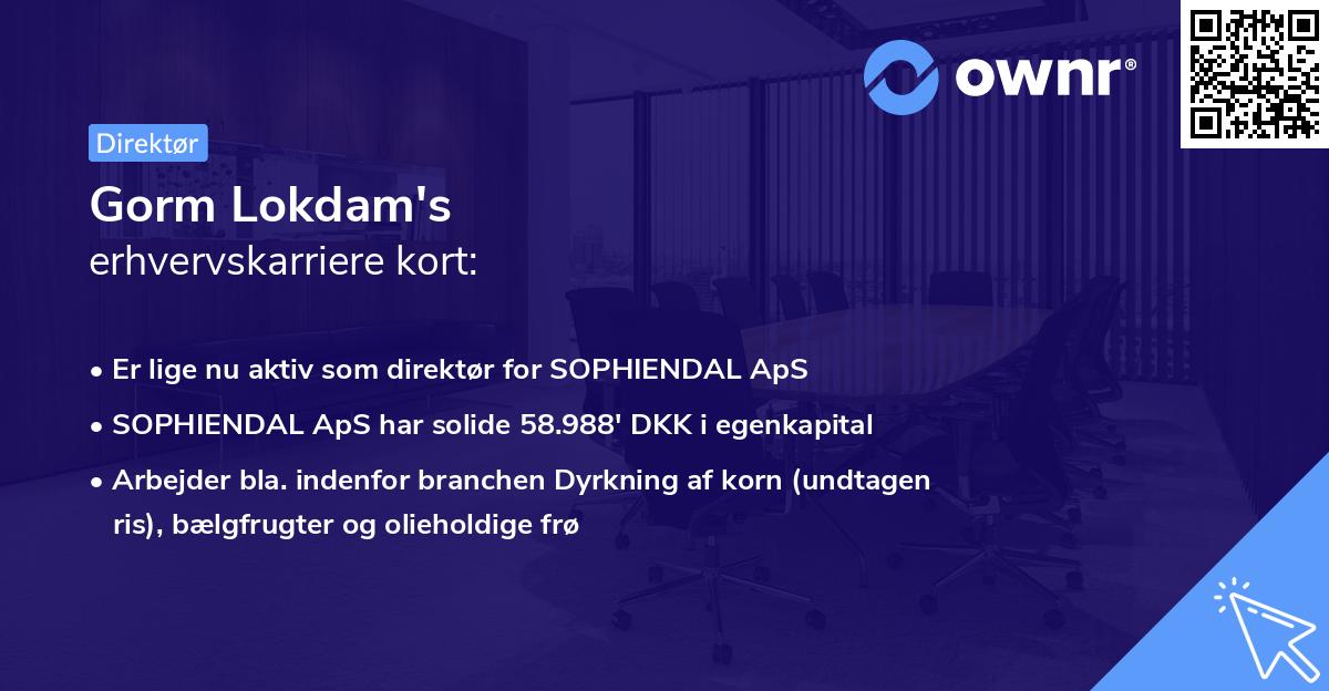 Gorm Lokdam's erhvervskarriere kort