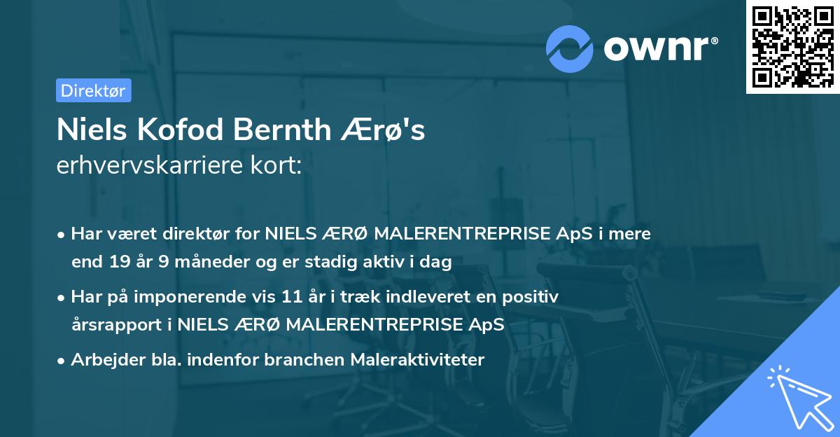 Niels Kofod Bernth Ærø's erhvervskarriere kort