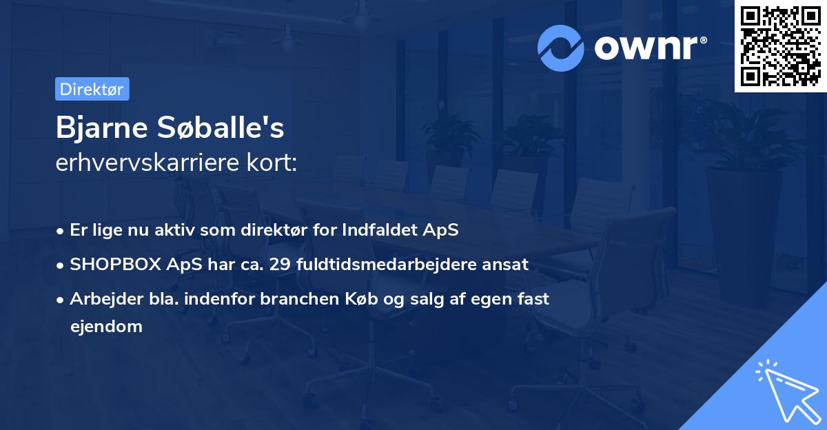 Bjarne Søballe's erhvervskarriere kort