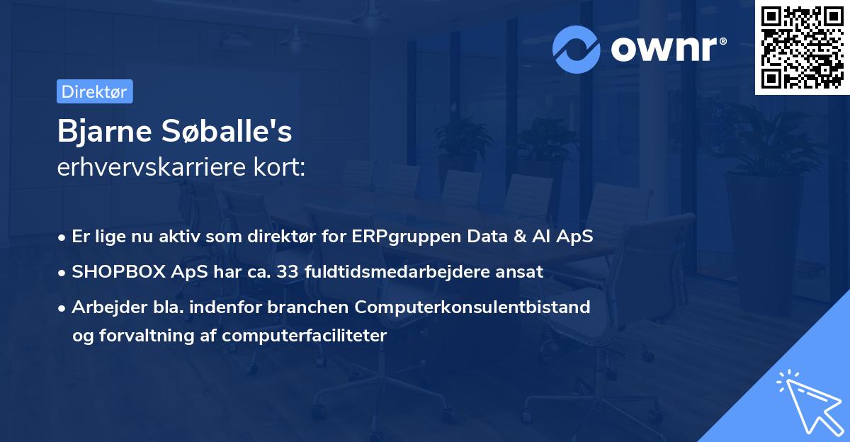 Bjarne Søballe's erhvervskarriere kort