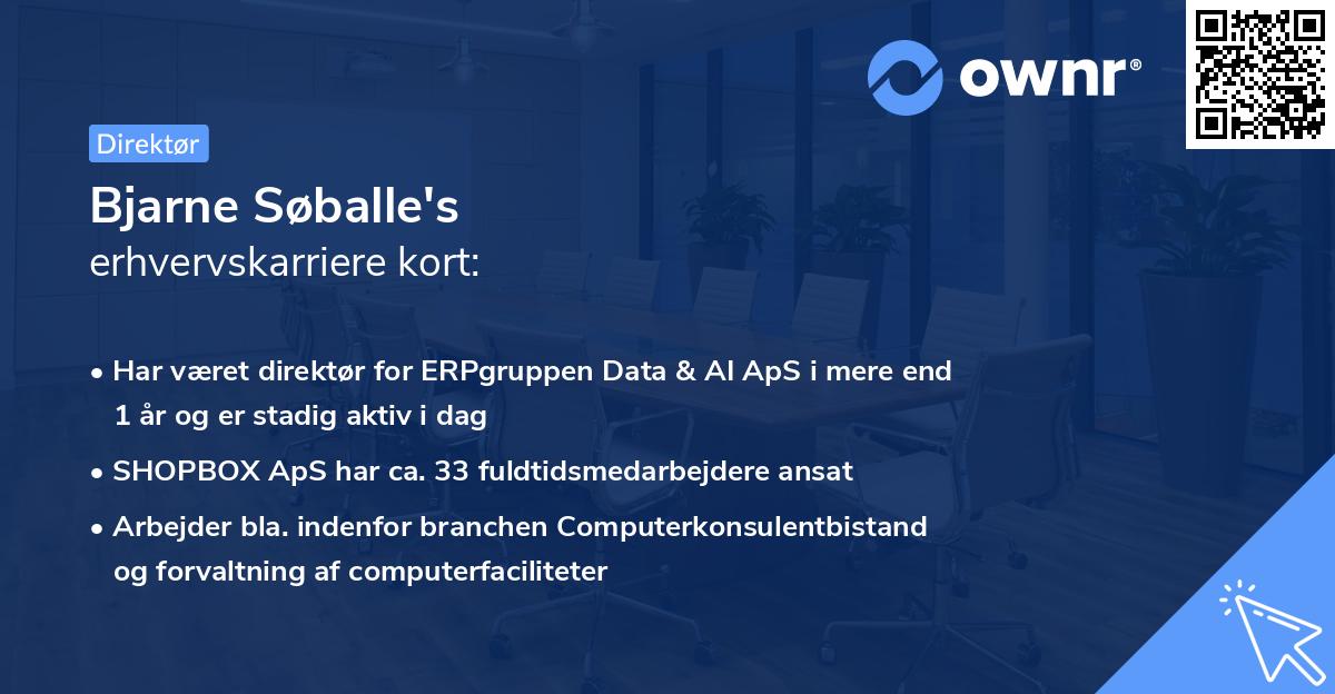 Bjarne Søballe's erhvervskarriere kort