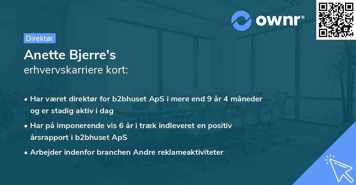 Anette Bjerre's erhvervskarriere kort