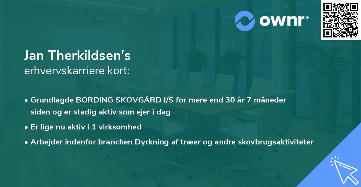 Jan Therkildsen's erhvervskarriere kort