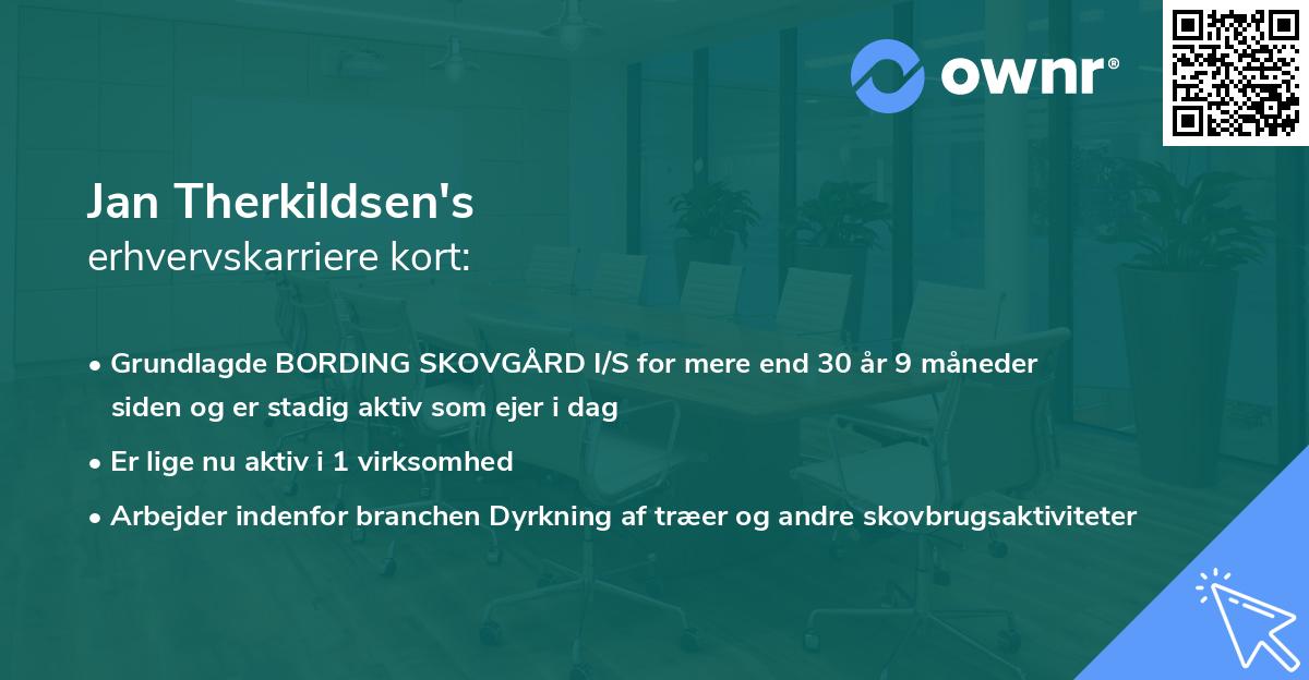 Jan Therkildsen's erhvervskarriere kort