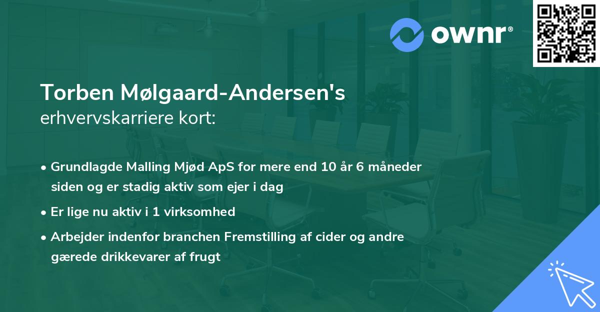 Torben Mølgaard-Andersen's erhvervskarriere kort