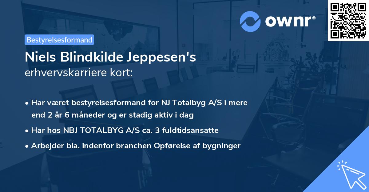 Niels Blindkilde Jeppesen's erhvervskarriere kort