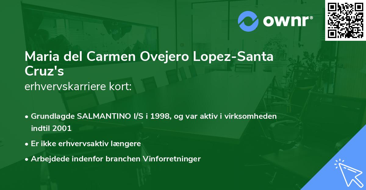 Maria del Carmen Ovejero Lopez-Santa Cruz's erhvervskarriere kort