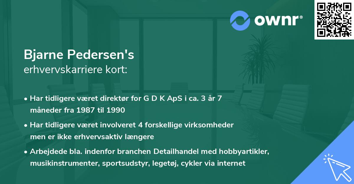 Bjarne Pedersen's erhvervskarriere kort