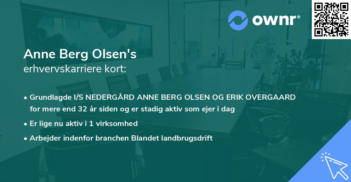 Anne Berg Olsen's erhvervskarriere kort