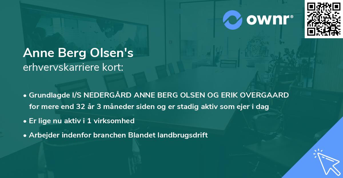 Anne Berg Olsen's erhvervskarriere kort