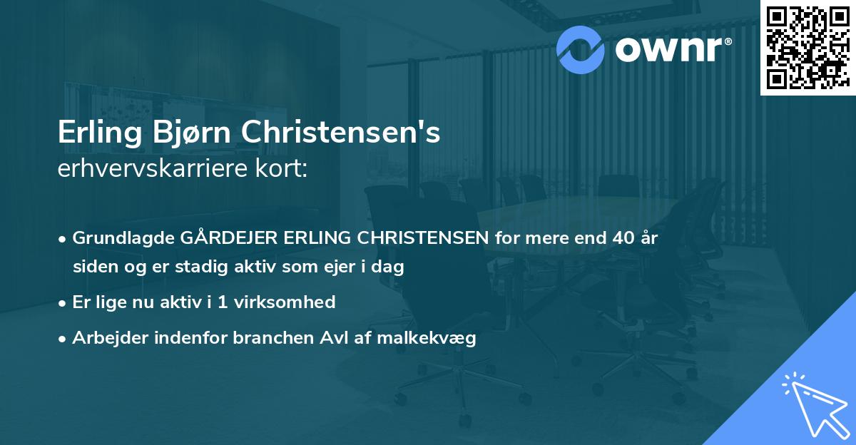 Erling Bjørn Christensen's erhvervskarriere kort