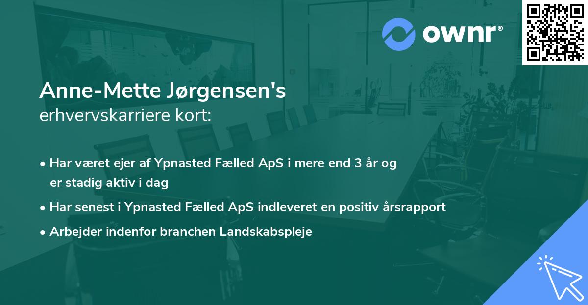 Anne-Mette Jørgensen's erhvervskarriere kort