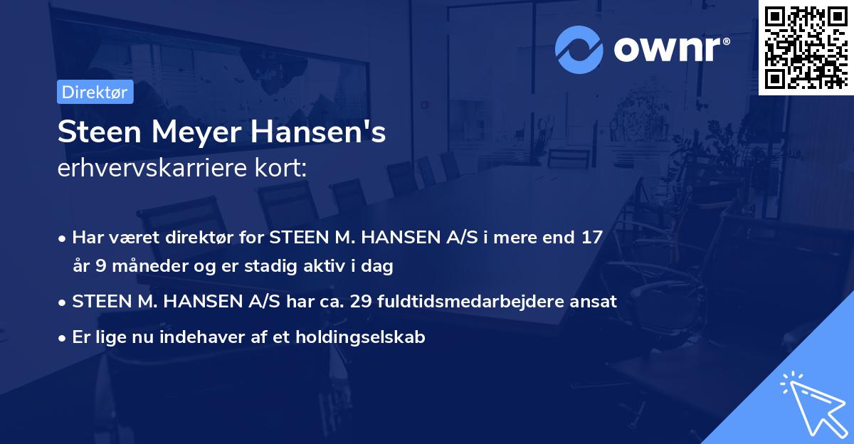 Steen Meyer Hansen's erhvervskarriere kort