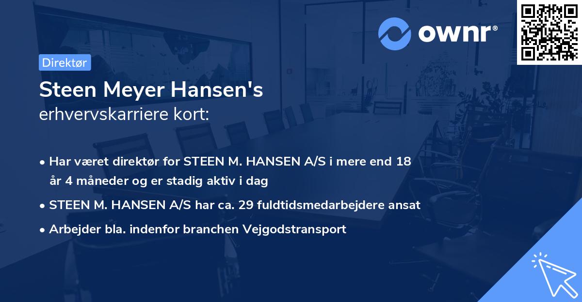 Steen Meyer Hansen's erhvervskarriere kort