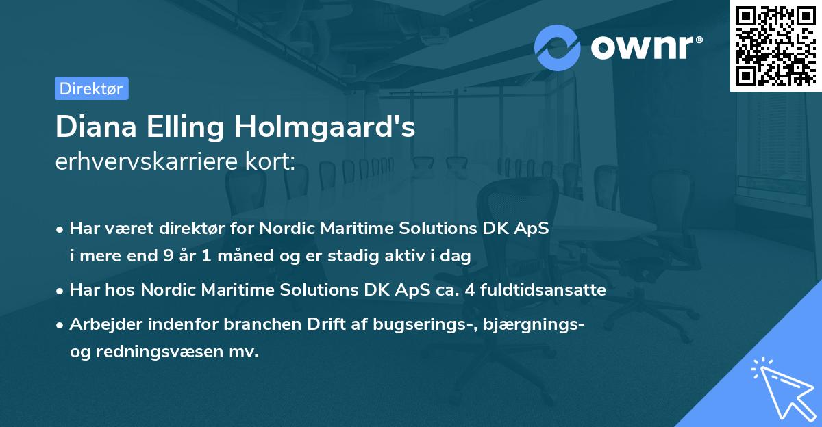 Diana Elling Holmgaard's erhvervskarriere kort