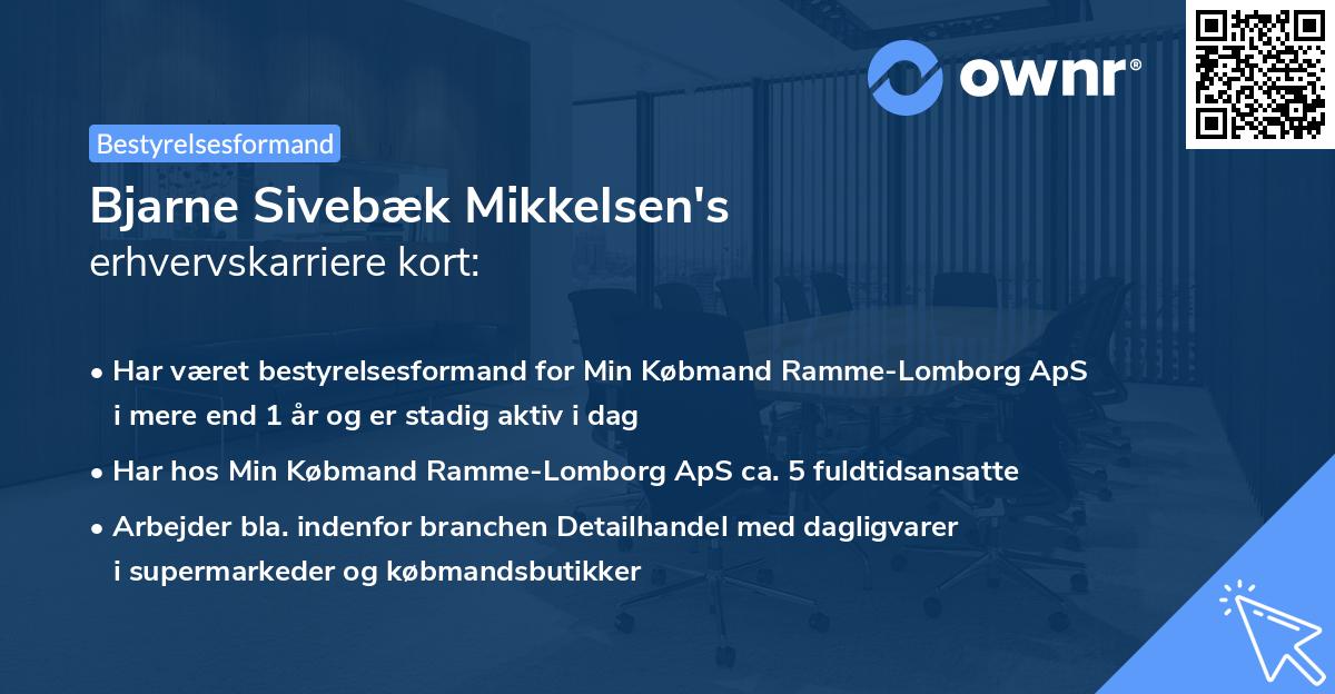 Bjarne Sivebæk Mikkelsen's erhvervskarriere kort