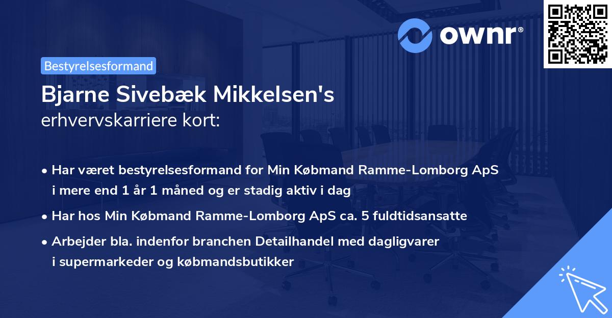 Bjarne Sivebæk Mikkelsen's erhvervskarriere kort