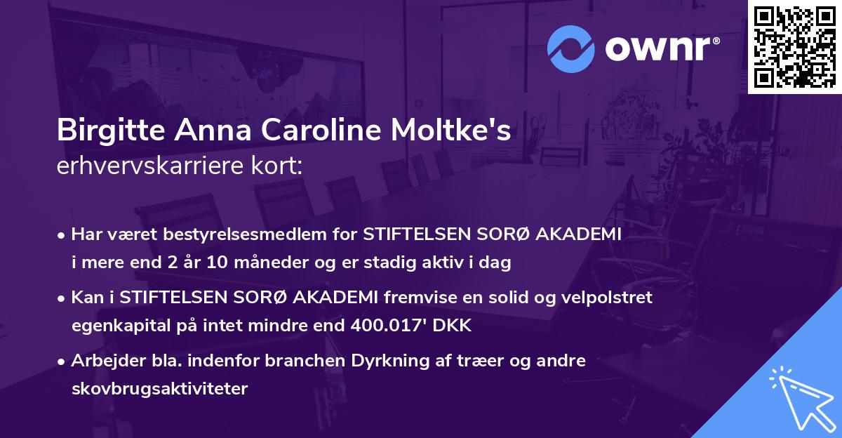 Birgitte Anna Caroline Moltke's erhvervskarriere kort