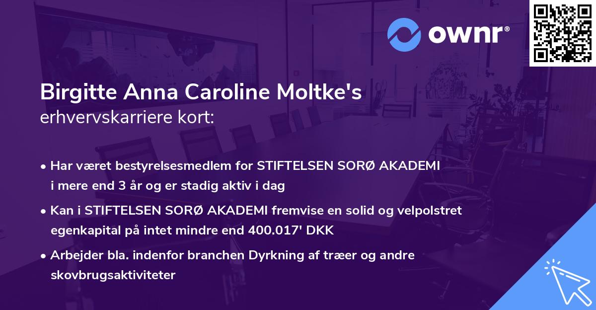 Birgitte Anna Caroline Moltke's erhvervskarriere kort