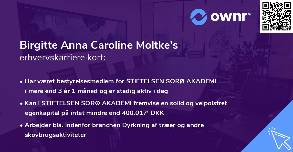 Birgitte Anna Caroline Moltke's erhvervskarriere kort