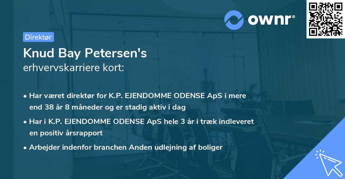 Knud Bay Petersen's erhvervskarriere kort