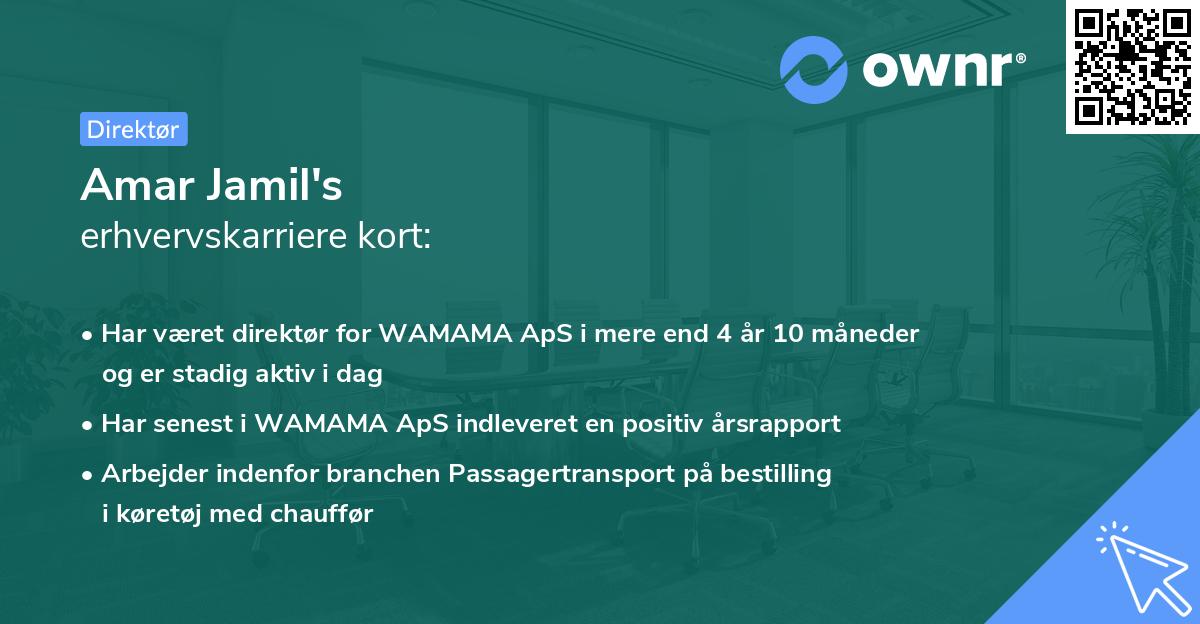 Amar Jamil's erhvervskarriere kort