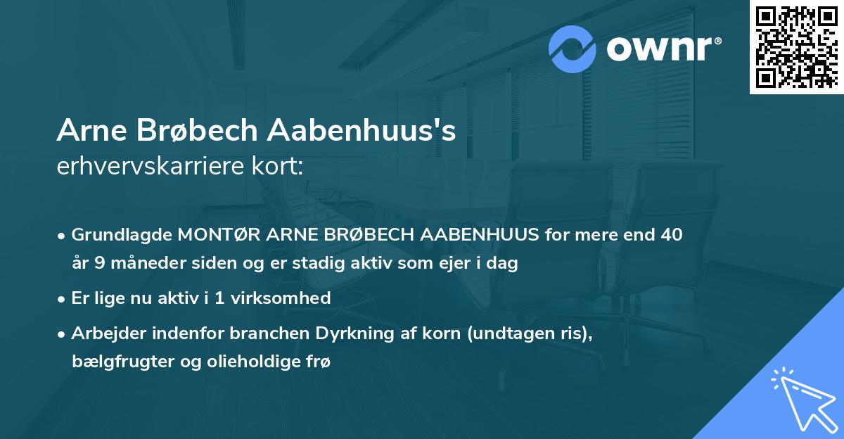 Arne Brøbech Aabenhuus's erhvervskarriere kort