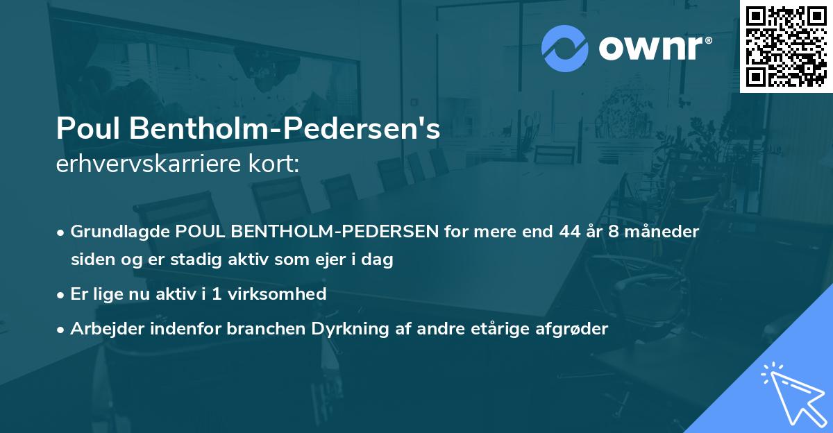 Poul Bentholm-Pedersen's erhvervskarriere kort