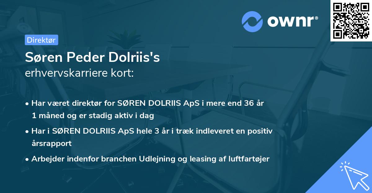 Søren Peder Dolriis's erhvervskarriere kort