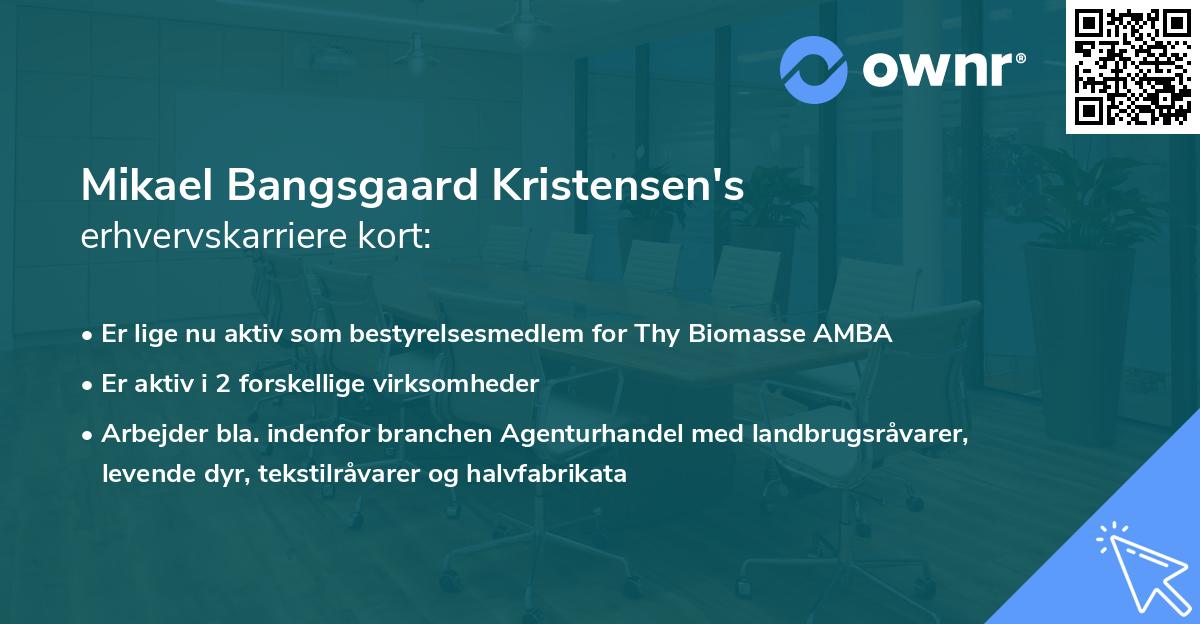 Mikael Bangsgaard Kristensen's erhvervskarriere kort