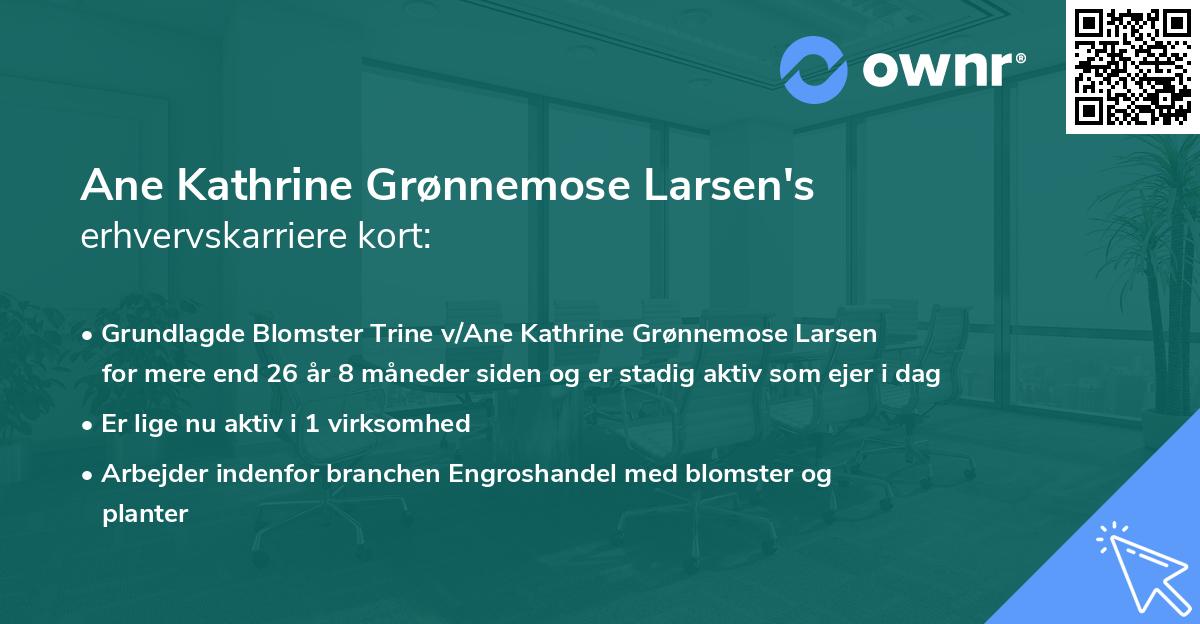 Ane Kathrine Grønnemose Larsen's erhvervskarriere kort