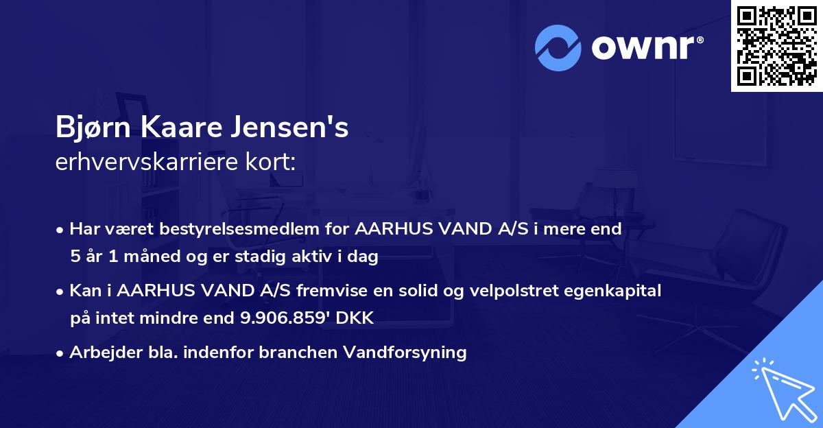 Bjørn Kaare Jensen's erhvervskarriere kort