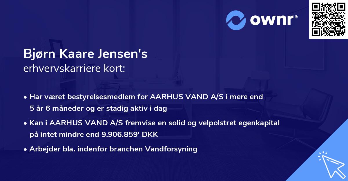 Bjørn Kaare Jensen's erhvervskarriere kort