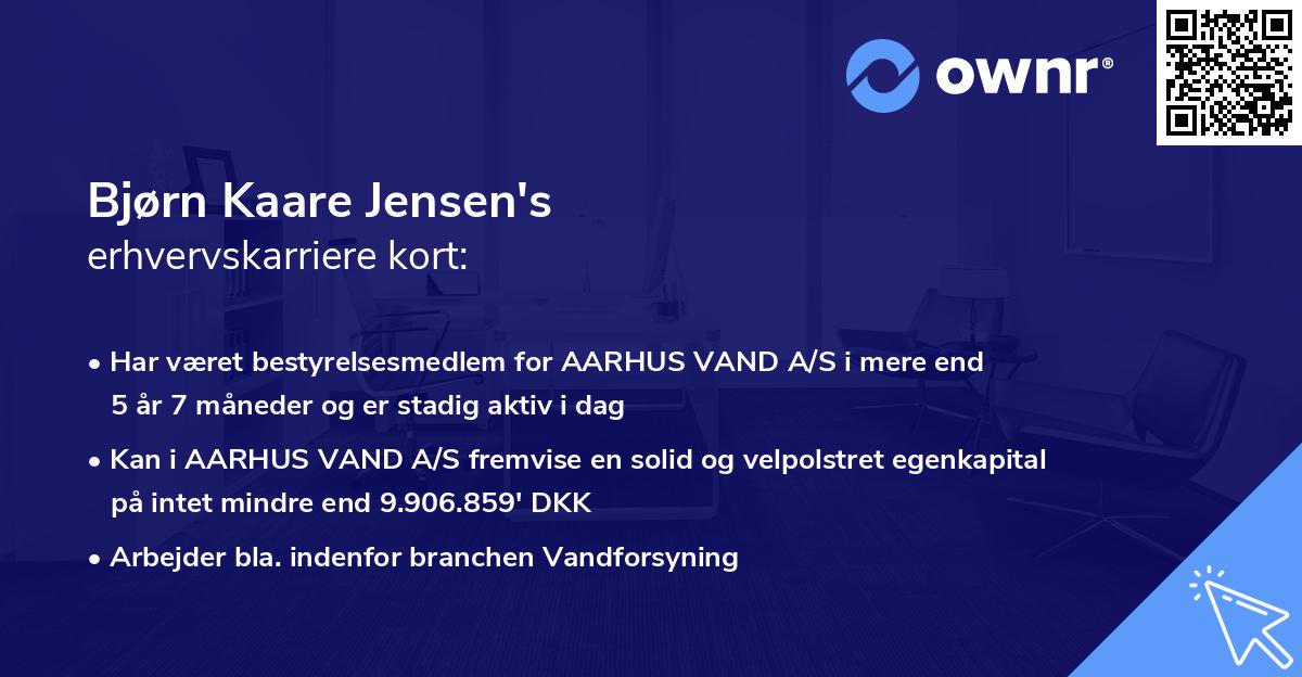 Bjørn Kaare Jensen's erhvervskarriere kort