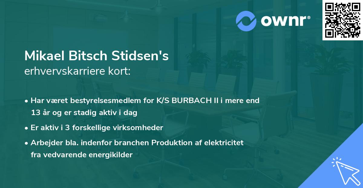 Mikael Bitsch Stidsen's erhvervskarriere kort