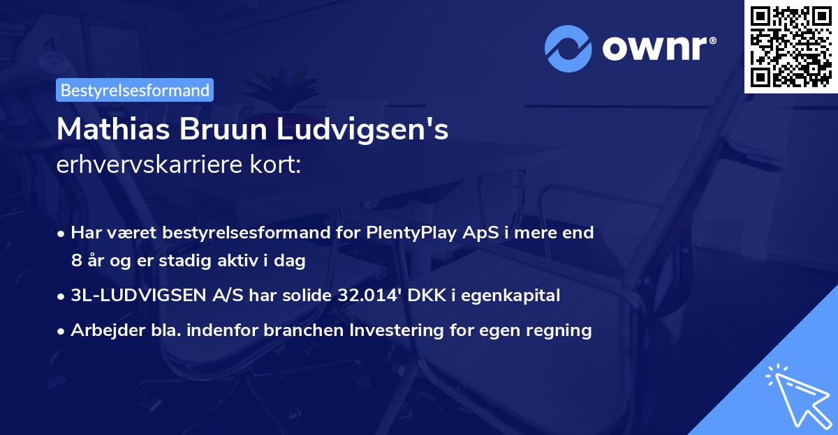 Mathias Bruun Ludvigsen's erhvervskarriere kort