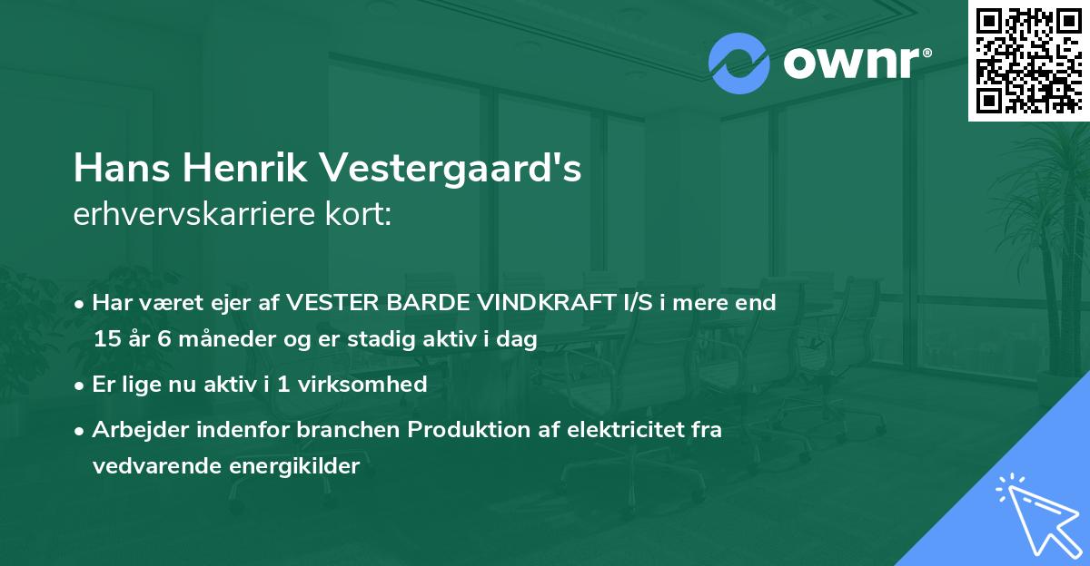 Hans Henrik Vestergaard's erhvervskarriere kort