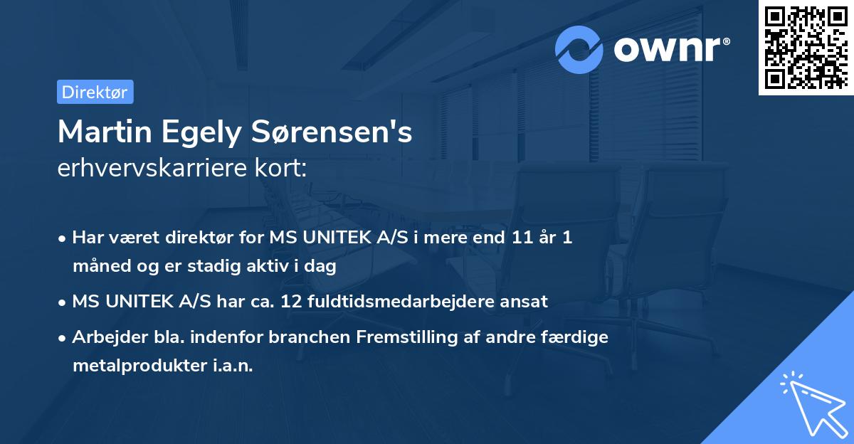 Martin Egely Sørensen's erhvervskarriere kort