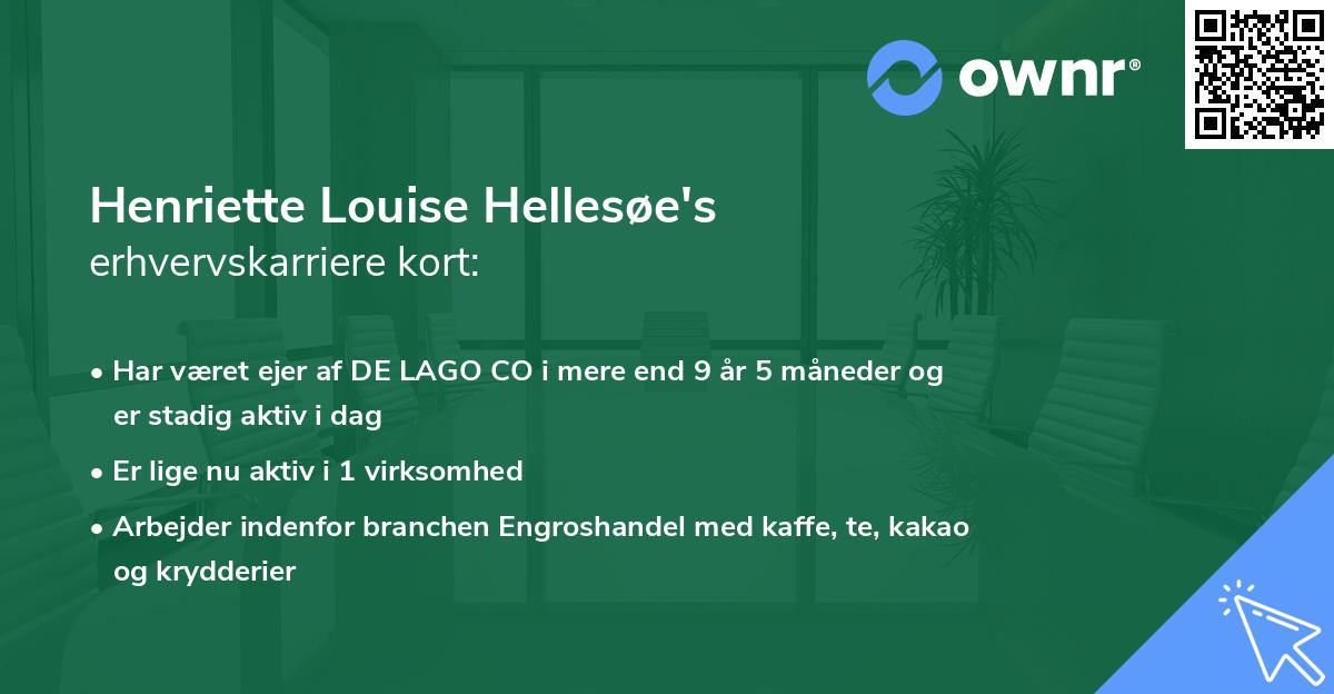 Henriette Louise Hellesøe's erhvervskarriere kort