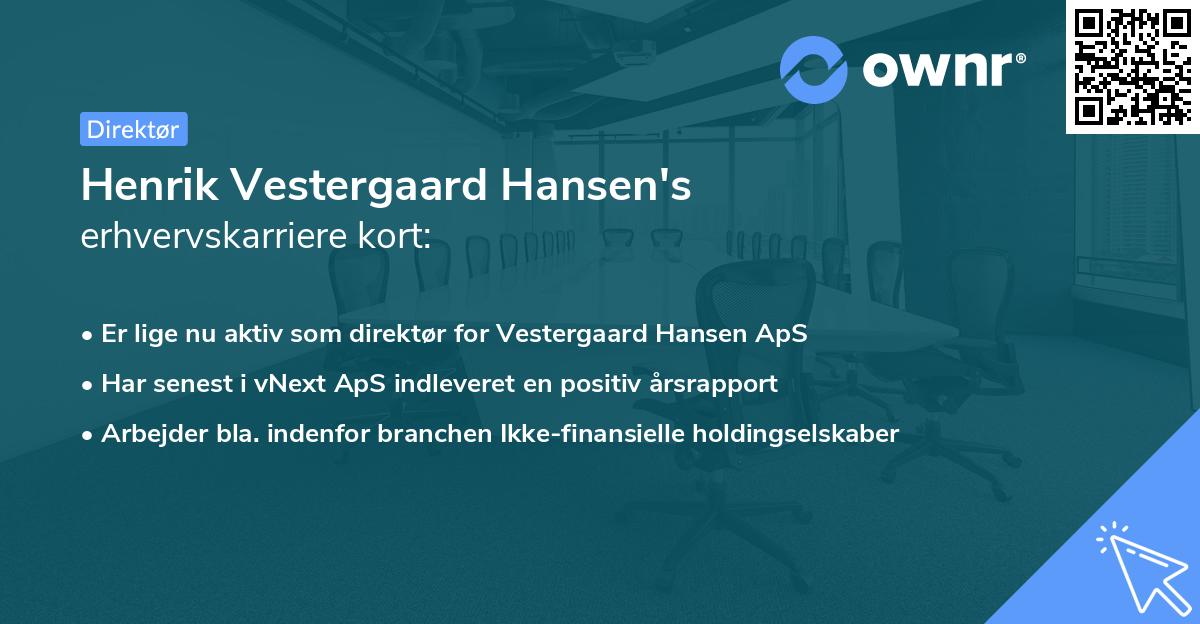 Henrik Vestergaard Hansen's erhvervskarriere kort