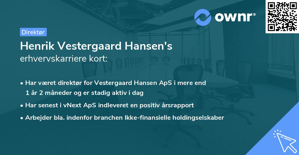 Henrik Vestergaard Hansen's erhvervskarriere kort