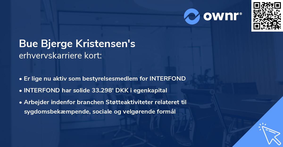 Bue Bjerge Kristensen's erhvervskarriere kort