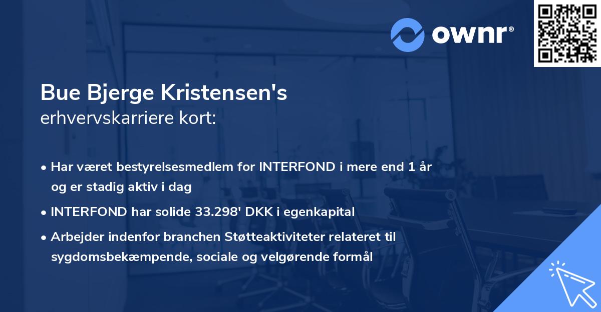 Bue Bjerge Kristensen's erhvervskarriere kort