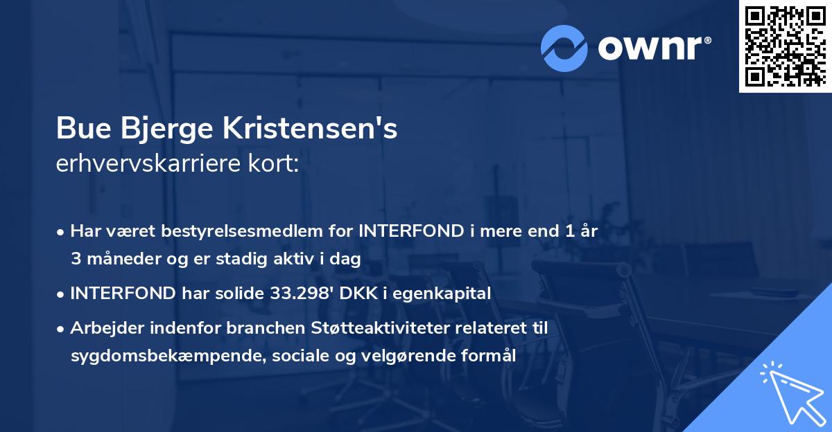 Bue Bjerge Kristensen's erhvervskarriere kort