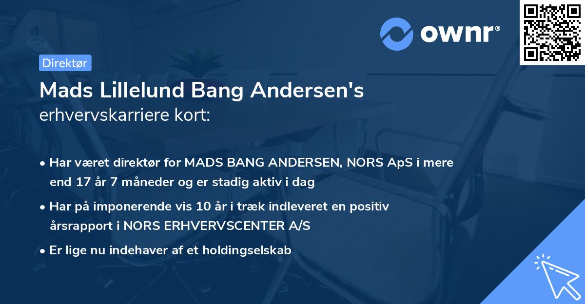 Mads Lillelund Bang Andersen's erhvervskarriere kort