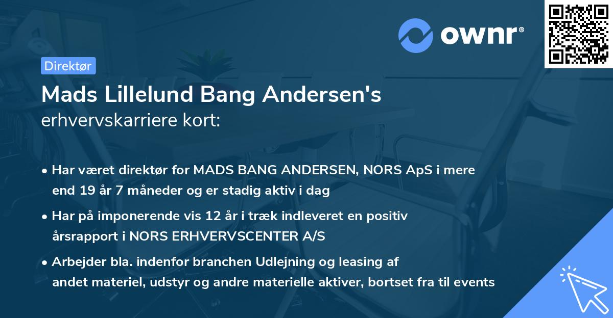 Mads Lillelund Bang Andersen's erhvervskarriere kort