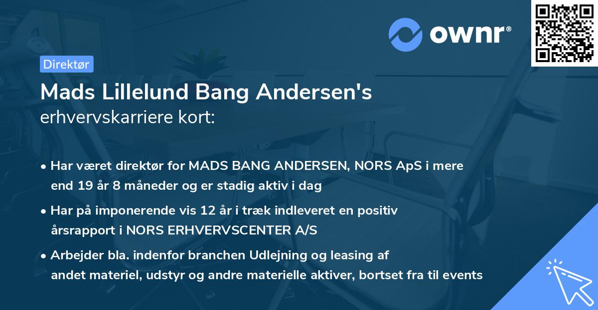 Mads Lillelund Bang Andersen's erhvervskarriere kort