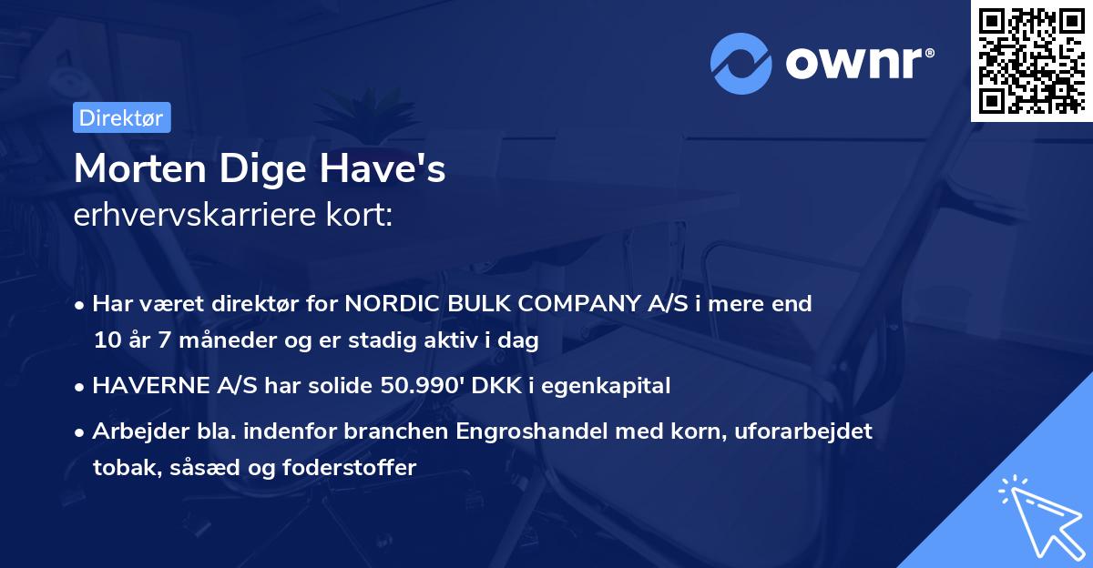 Morten Dige Have's erhvervskarriere kort